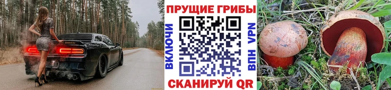 Галлюциногенные грибы GOLDEN TEACHER  Евпатория 