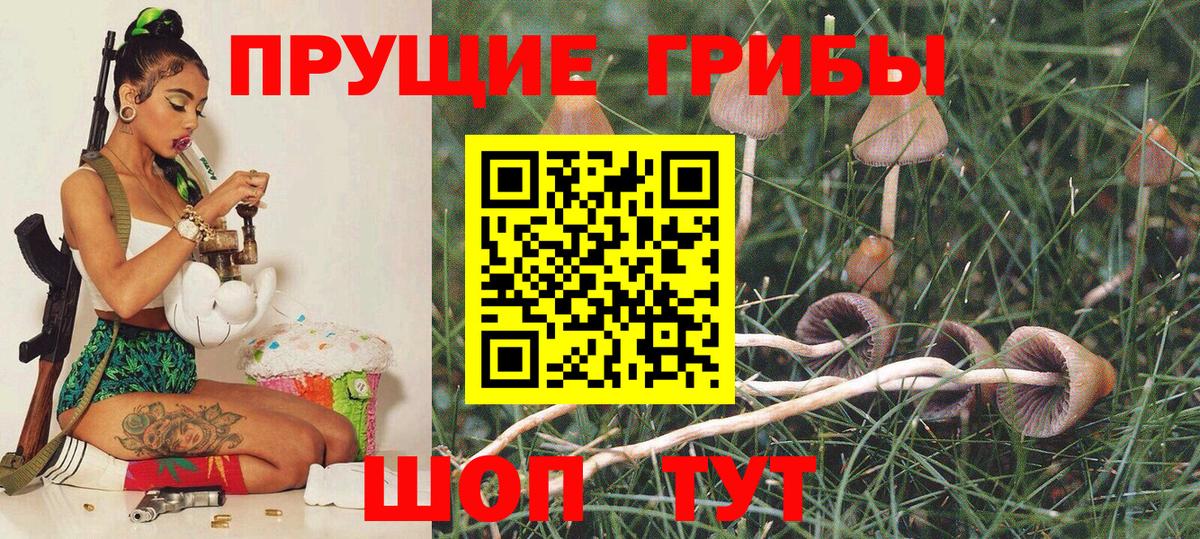 Галлюциногенные грибы Psilocybine cubensis  Вход с VPN  Псилоцибиновые грибы мицелий  Евпатория 