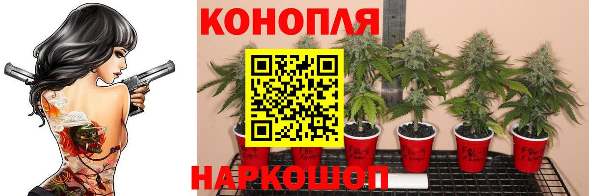 Каннабис тримм Евпатория